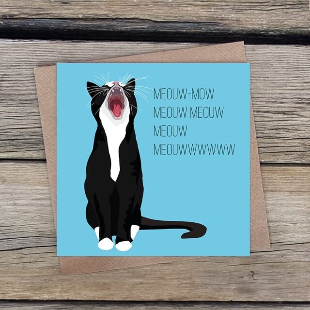 Something other than fabulous penguins... adorable cats 😍Meow meow meow… a birthday? A celebration? Or just because?These musical moggies are a hit with cat lovers everywhere; full of charm, love, and full voice. And let’s be honest, it’s not really a moment worth marking unless the cat’s involved too.One thing’s for sure, the lucky recipient will be paw-sitively delighted to receive it!Link in bio to lots of other loveliness in my shop. Why wouldn't you?!#CatBirthdayCard #CatLoversGift #FunnyCatCard #CatLoversClub #MeowMoments #Funnycat #Tuxedocat #Gingercat #CatGiftsForHumans #GinaBakerArt #CatLife