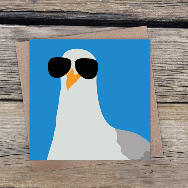 Top Gull Blue