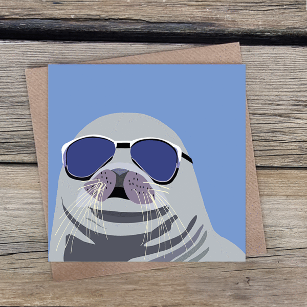 Sunny the Seal