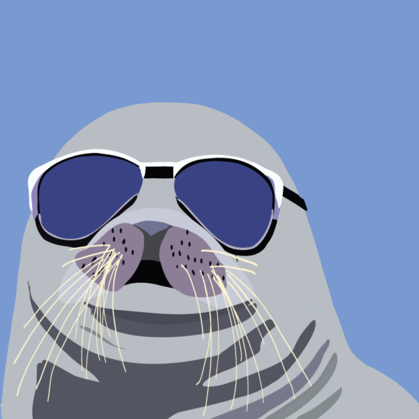 Sunny the Seal - Image 2