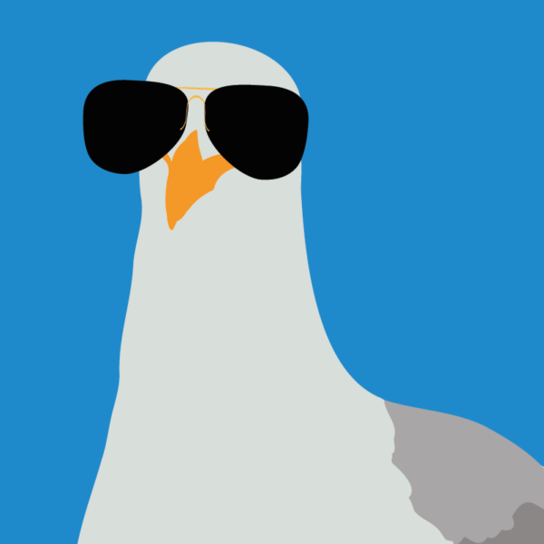 Top Gull Blue - Image 2