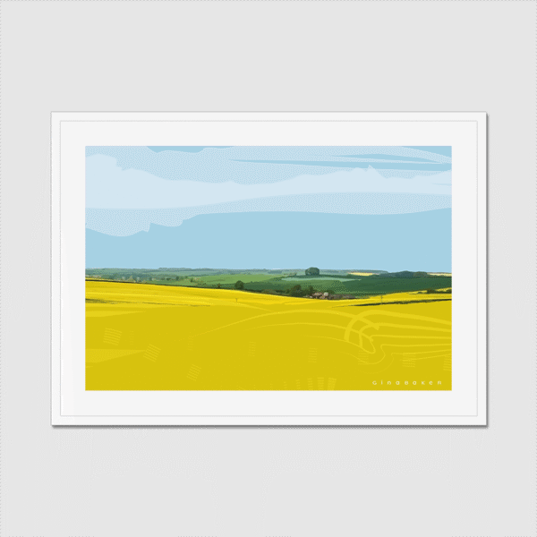 Springtime Field