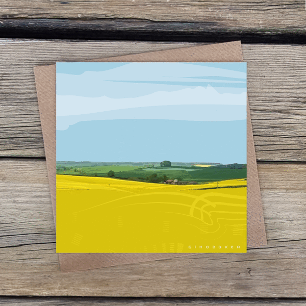 Springtime Field