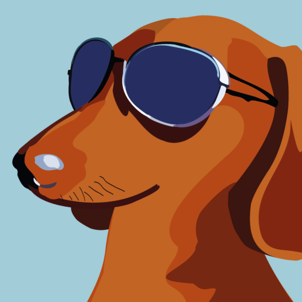 Dachshund Dude - Image 2