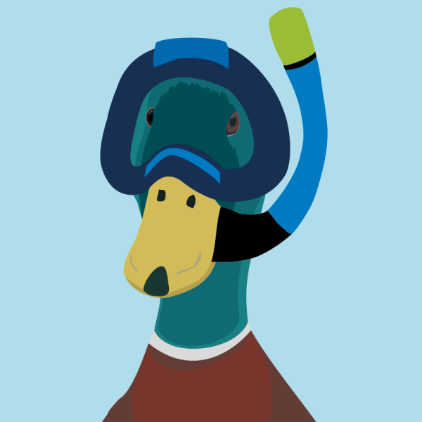 Snorkelling - Image 2