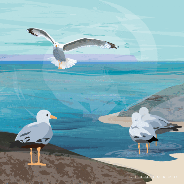 Sea Gull on the Rocks - Image 2