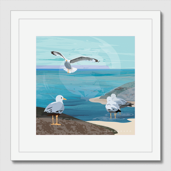 Sea Gull on the Rocks
