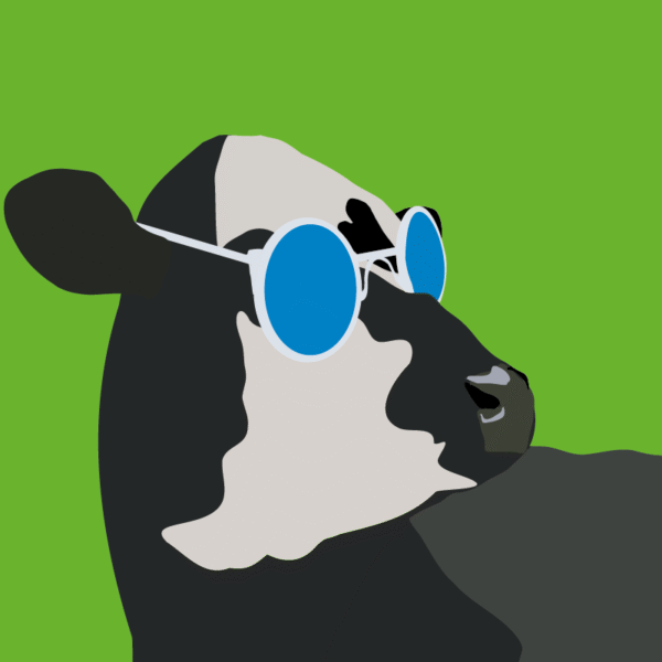 Chillaxin' Cow - Image 2