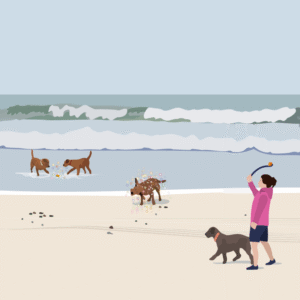 Fun Day At The Beach