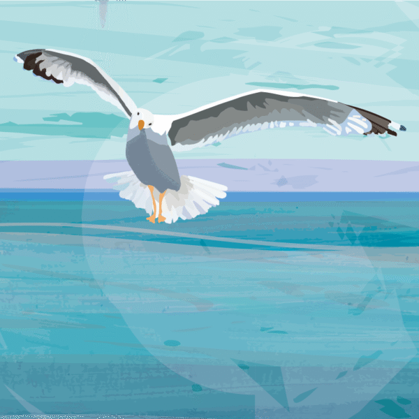 Sea Gull - Image 2