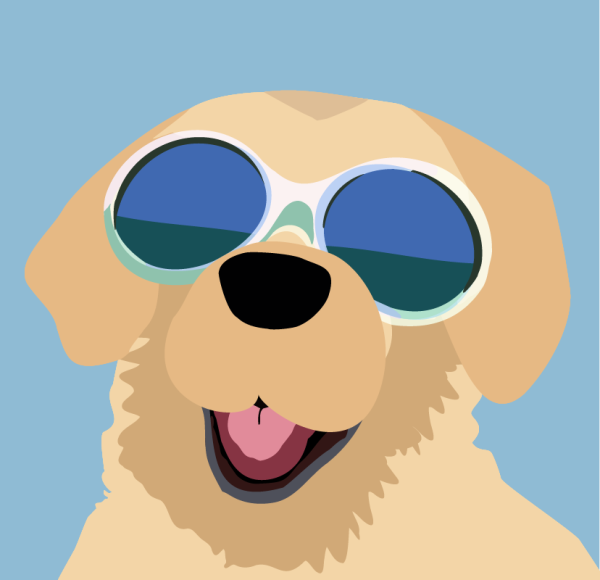 Shades of Pawsomeness - Image 2