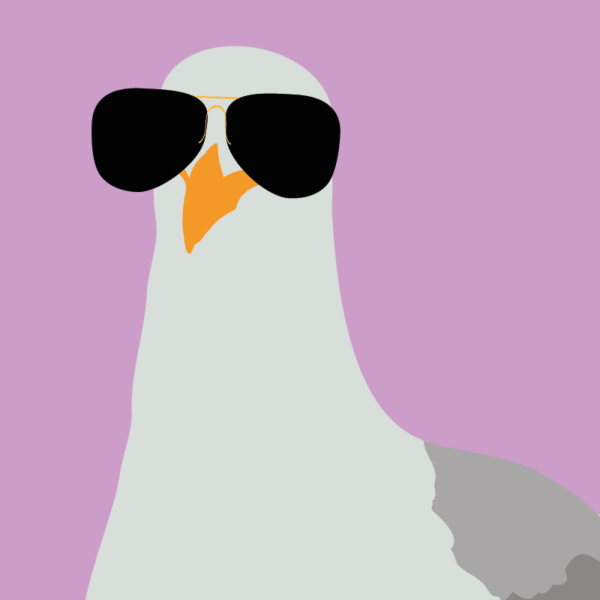 Top Gull Pink - Image 2