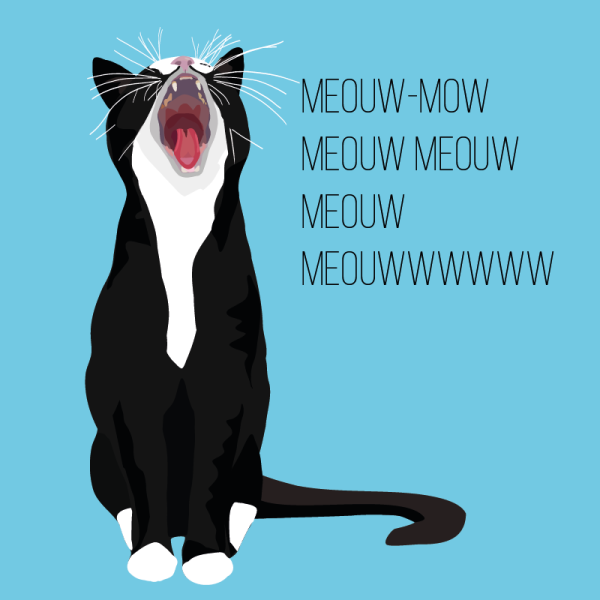 Tuxedo Cat Happy Birthday - Image 2