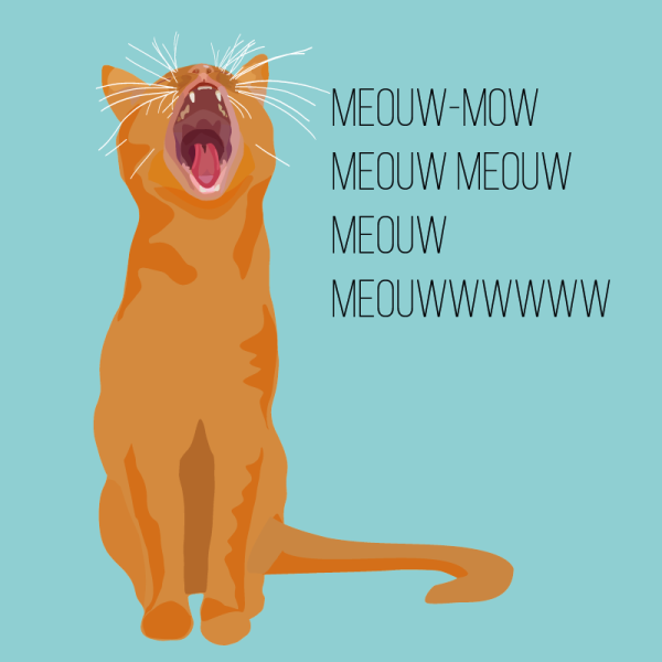 Tabby Cat Happy Birthday - Image 2