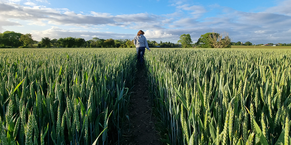 Lady in Wheat Field